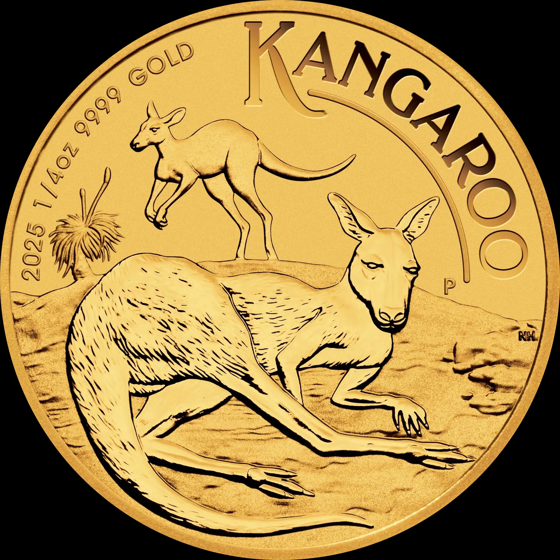 Australijski Kangur 1/4 uncji złota 2025 - Front