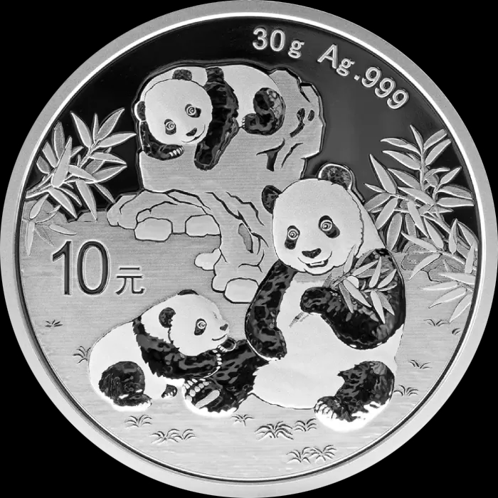 Chińska Panda 30g srebra 2025 - Front