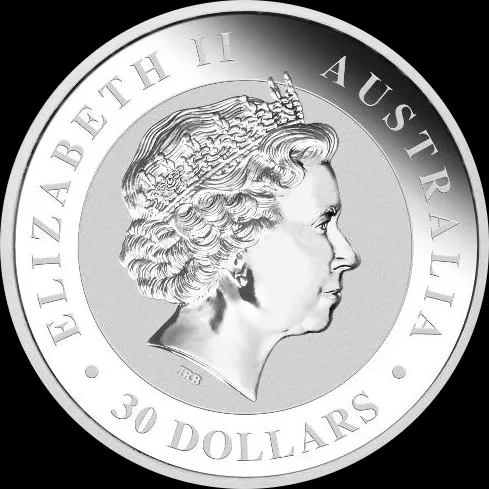 Kookaburra 1000g srebra 2016 - image 2
