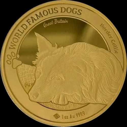 Border Collie World Famous Dogs 1 uncja złota 2025 - image 1