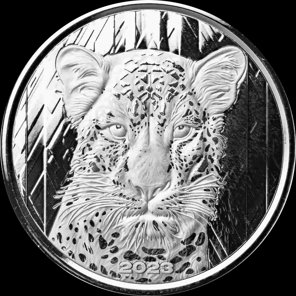 Ghana African Leopard 1 uncja srebra 2023 - image 1