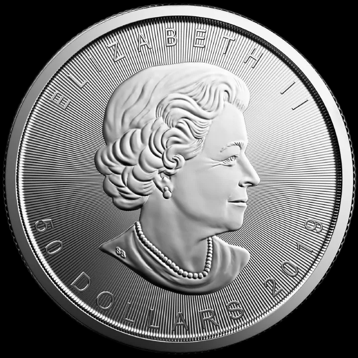 Kanadyjski Liść Klonowy 1 uncja platyny 2019 - image 2