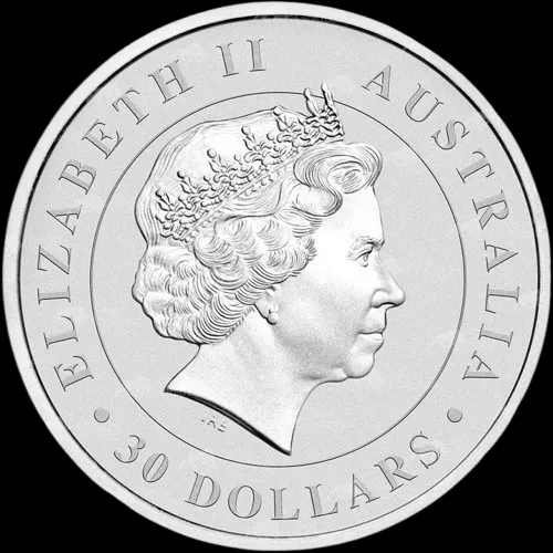 Koala 1000g srebra 2017 - image 2