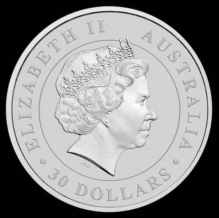Koala 1000g srebra 2018 - image 2