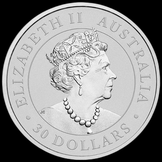 Koala 1000g srebra 2019 - image 2