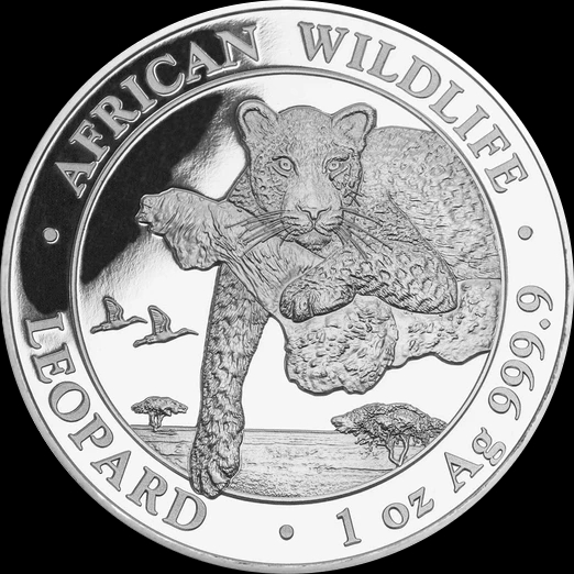 African Wildlife Leopard 1 uncja Srebra 2020 - image 1