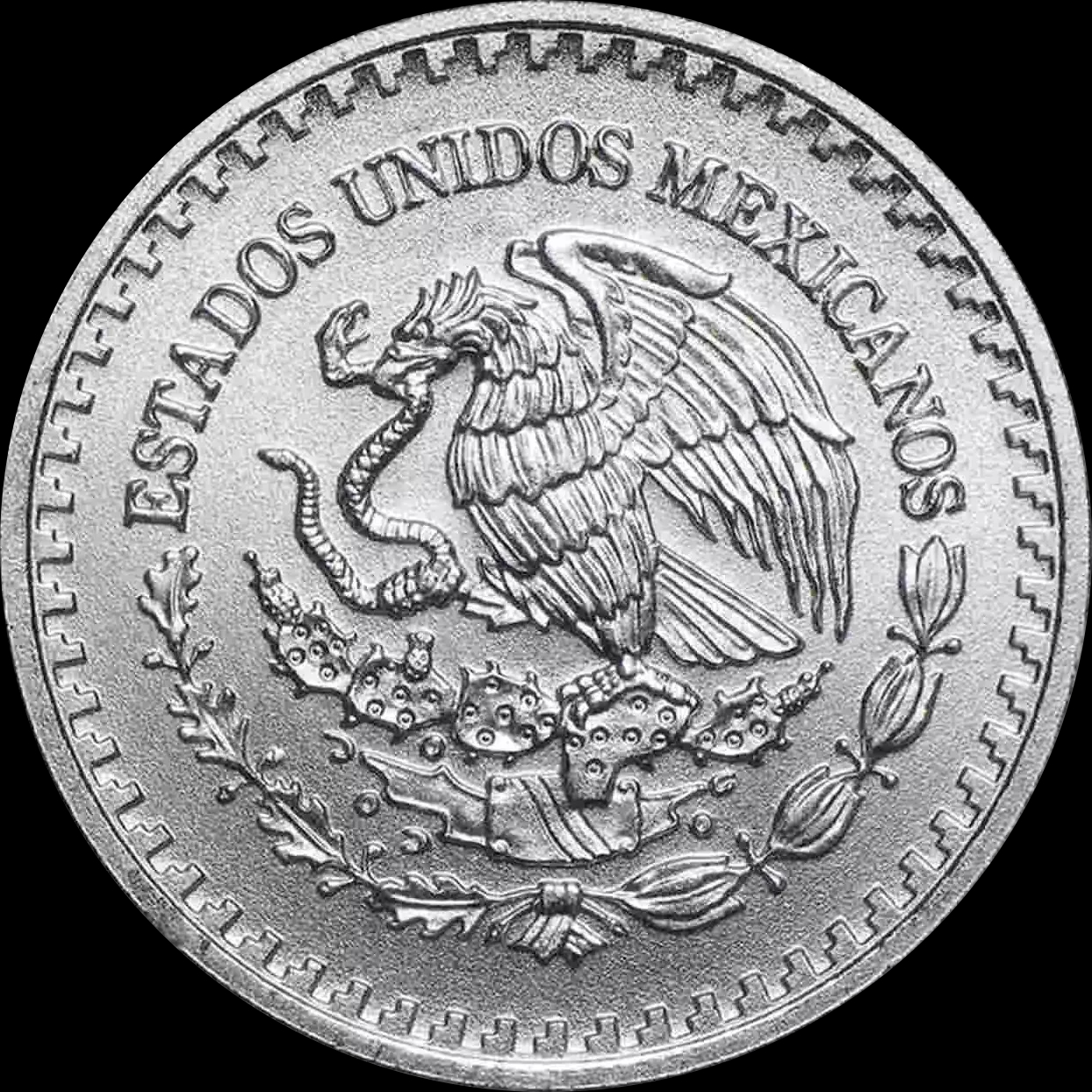Mexican Libertad 1/10 uncji srebra 2024 - image 2