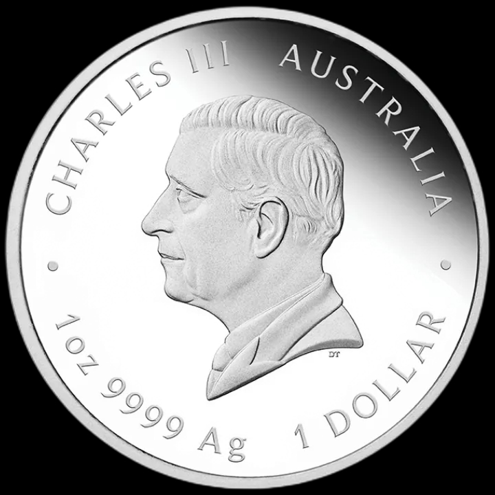 Lunar III Rok Węża 1 uncja srebra 2025 Proof - image 2