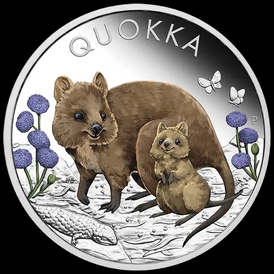 Quokka kolorowana 1 uncja srebra 2022 Proof - image 1