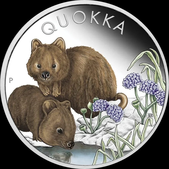 Quokka kolorowana 1 uncja srebra 2023 Proof - image 1