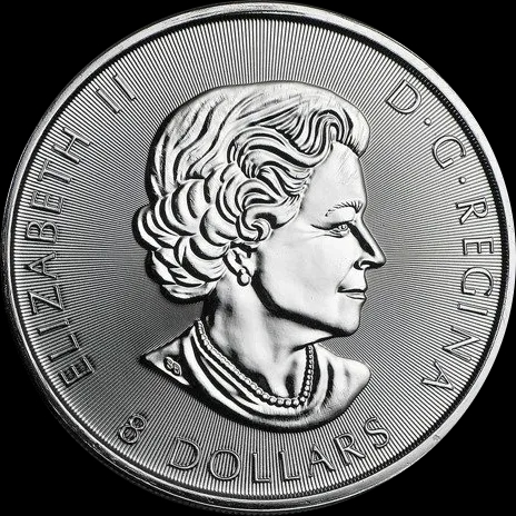 Sokół Śnieżny 1,5 uncji Srebra 2016 - image 2