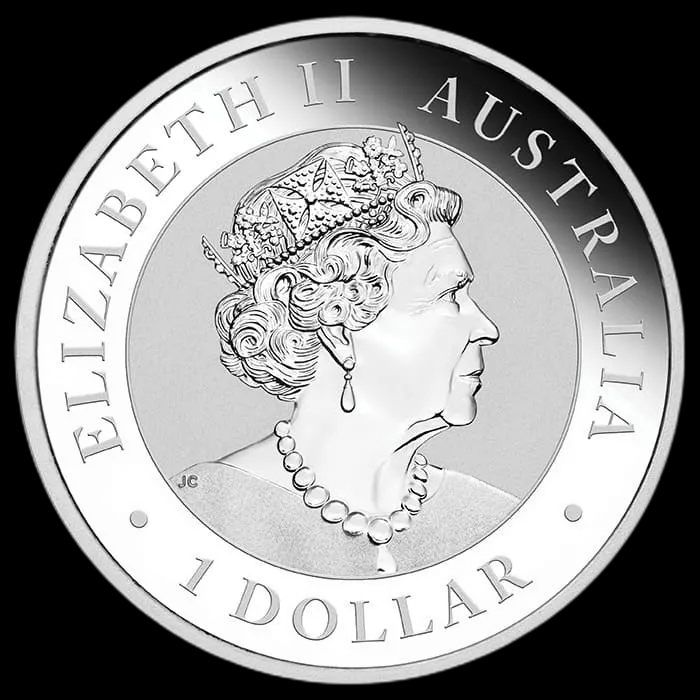 Australijski Koń Brumby 1 uncja srebra 2021 - image 2