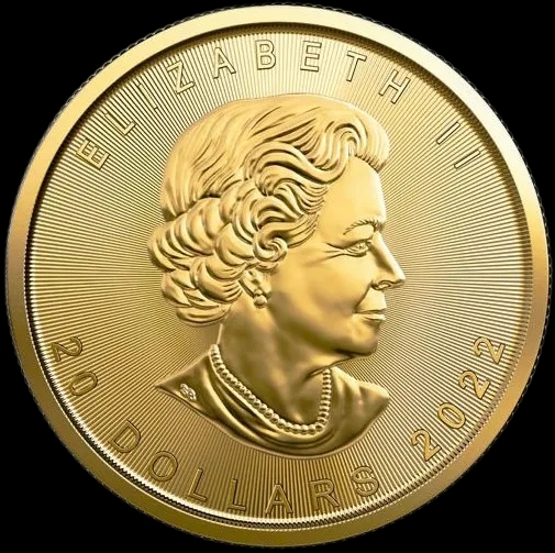 Kanadyjski Liść Klonowy 1/2 uncji złota 2022 - image 2