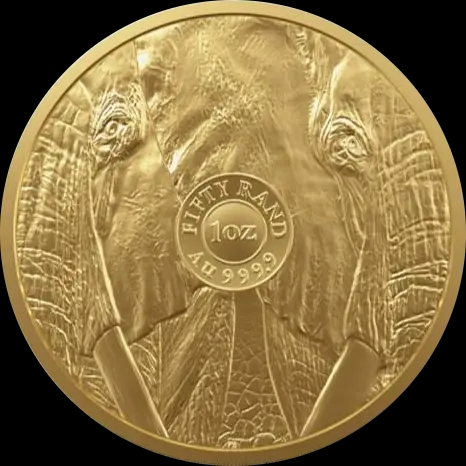Big Five Słoń 1 uncja złota 2024 - image 2