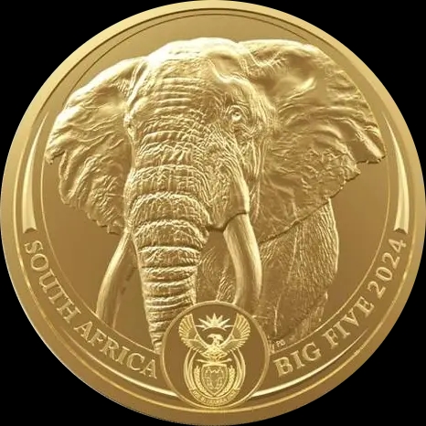 Big Five Słoń 1 uncja złota 2024 - image 1