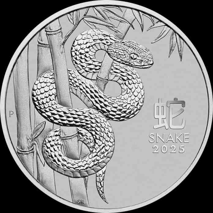 Lunar III Rok Węża 1 uncja platyny 2025 - Front