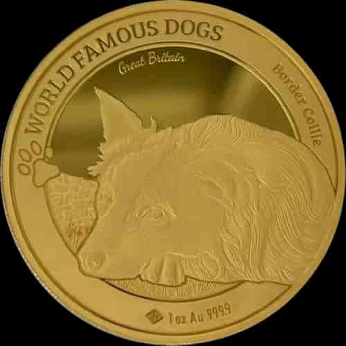 Border Collie World Famous Dogs 1 uncja złota 2025 - image 1