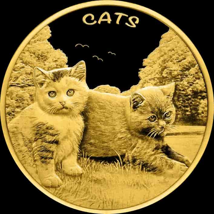 Fiji Cats 1/10 uncji Złota 2024 Prooflike - image 1