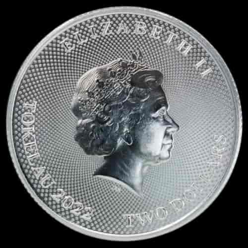 Hibernia 1 uncja Srebra 2022 - image 2