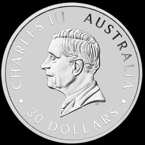 Kookaburra 1000g srebra 2025 - image 2