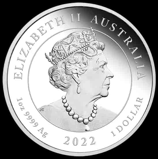Quokka kolorowana 1 uncja srebra 2022 Proof - image 2