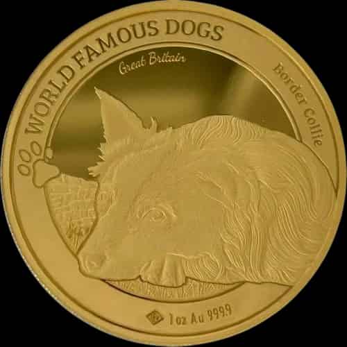 Border Collie World Famous Dogs 1 uncja złota 2025 - image 1