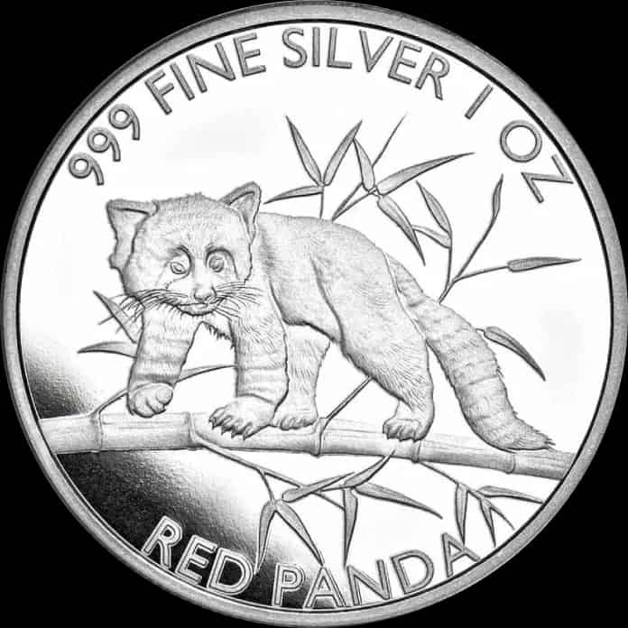 Red Panda 1 uncja Srebra 2023 - image 1