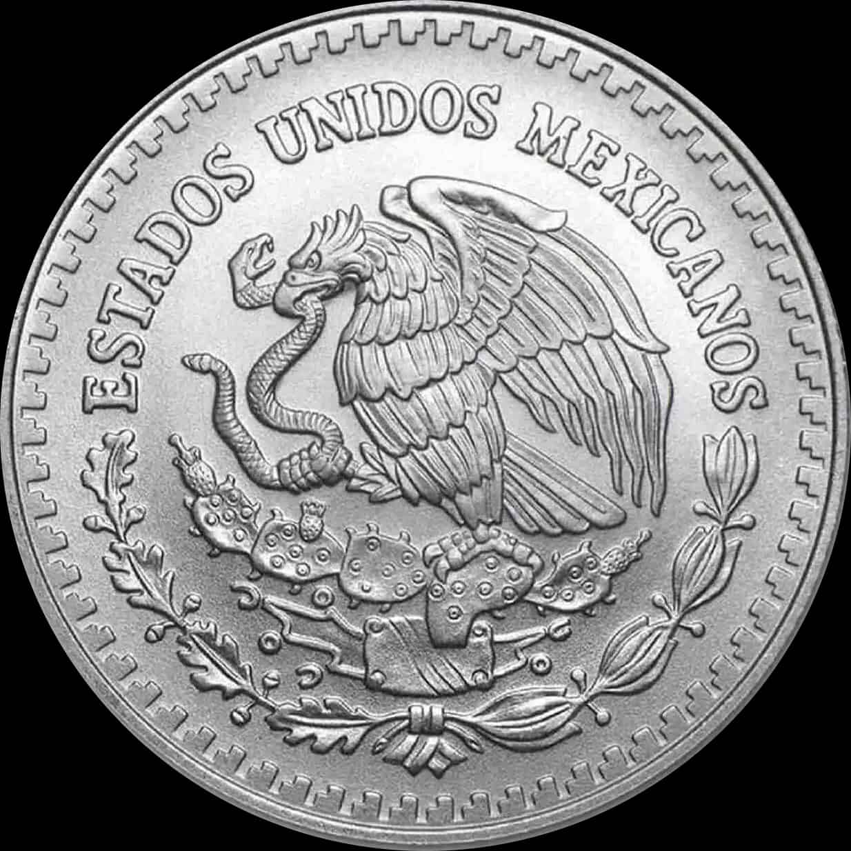 Mexican Libertad 1/2 uncji srebra 2024 - image 2