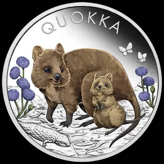 Quokka kolorowana 1 uncja srebra 2022 Proof - image 1