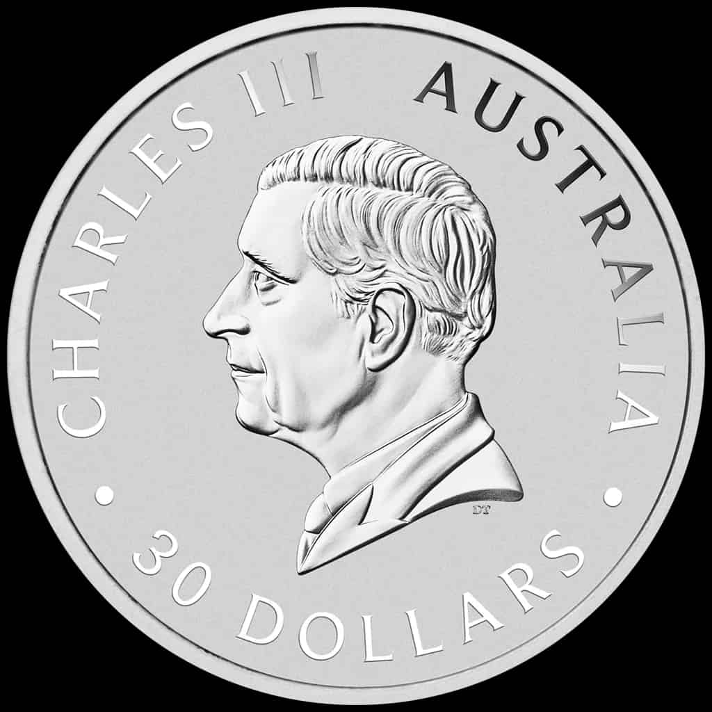 Kookaburra 1000g srebra 2024 - image 2
