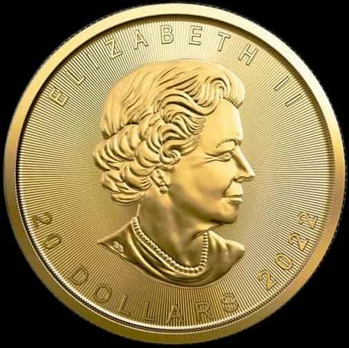 Kanadyjski Liść Klonowy 1/2 uncji złota 2022 - image 2