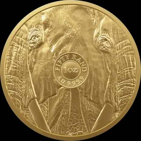 Big Five Słoń 1 uncja złota 2024 - image 2