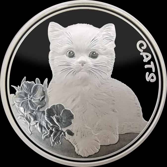 Fiji Cats 1 uncja Srebra 2022 Prooflike - image 1