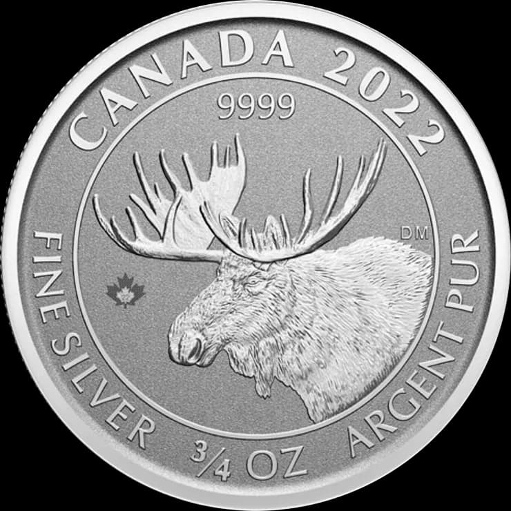 Canadian Moose 3/4 uncji Srebra 2022 - Front