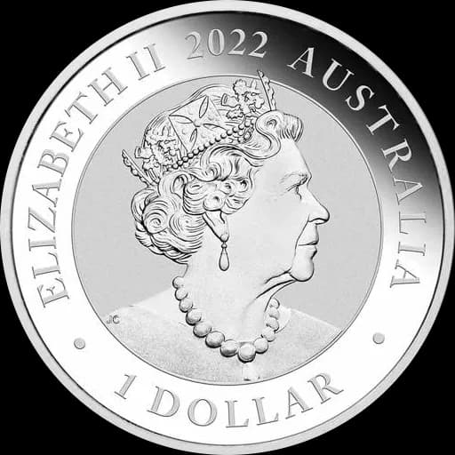 Australijski Łabędź 1 uncja srebra 2022 - Back