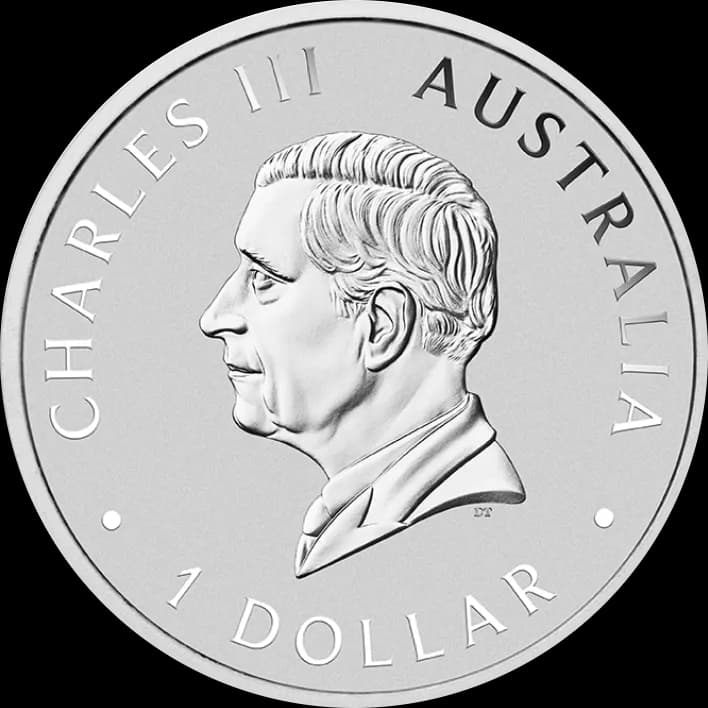 Australijski Wombat 1 uncja srebra 2024 - Back