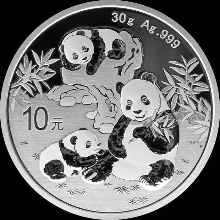 Chińska Panda 30g srebra 2025 - Front