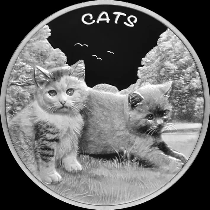 Fiji Cats 1 uncja Srebra 2024 Prooflike - Front