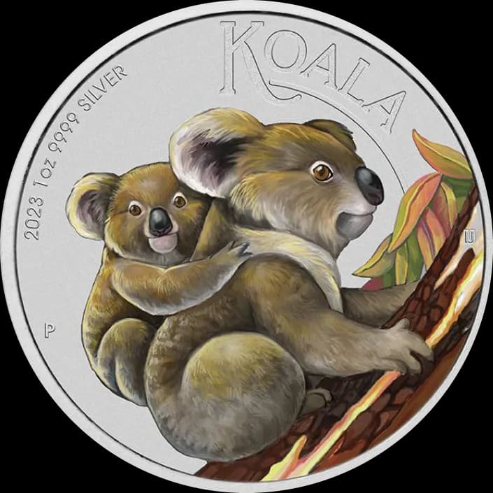 Koala kolorowana 1 uncja Srebra 2023 - Front