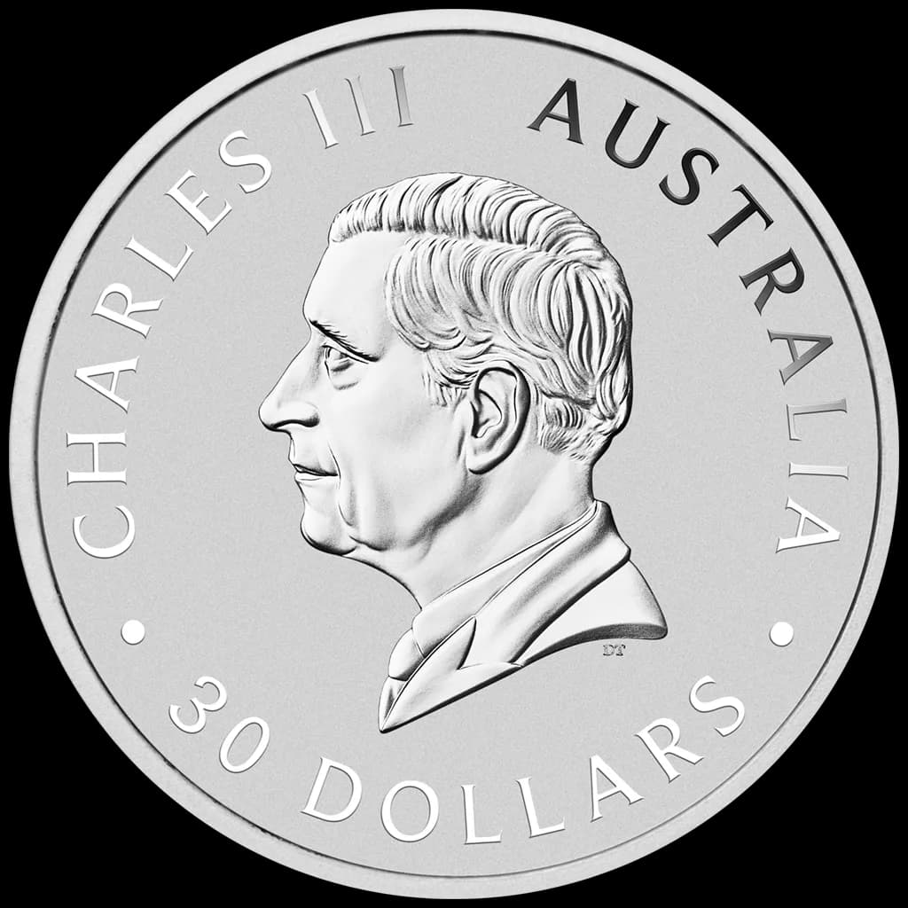 Kookaburra 1000g srebra 2024 - Back