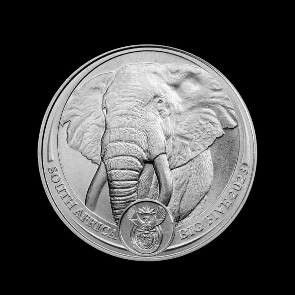 Big Five Słoń 1 uncja platyny 2023 - Front