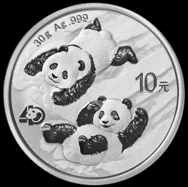 Chińska Panda 30g srebra 2022 - Front