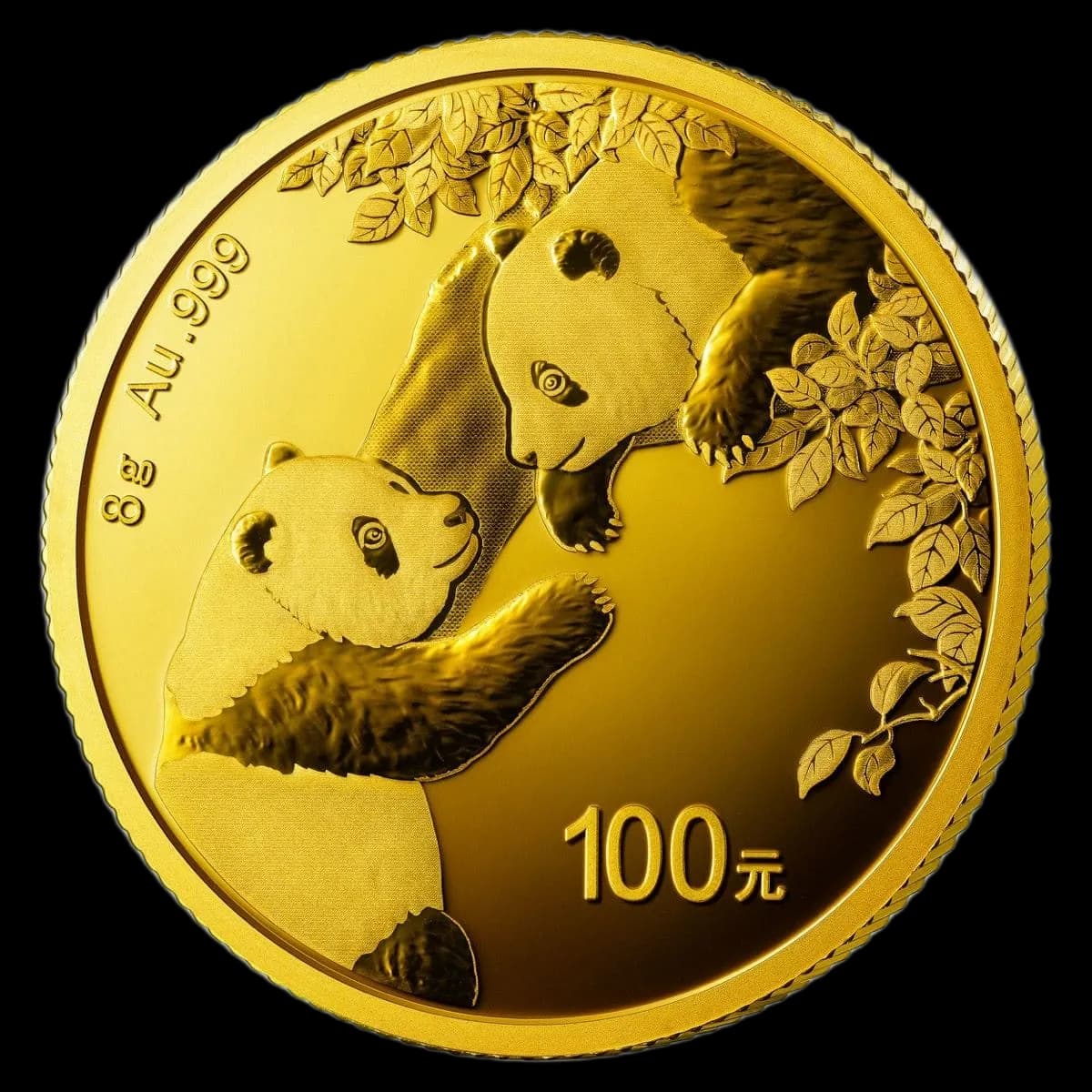 Chińska Panda 8g złota 2023 - Front