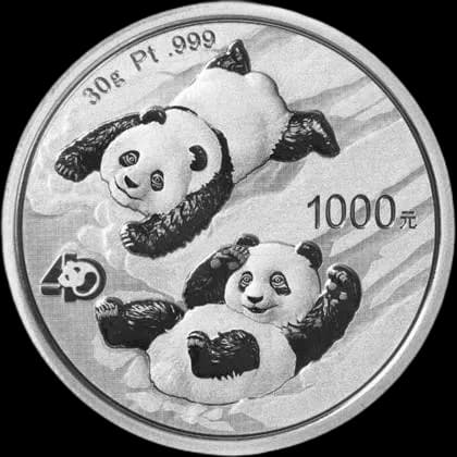 Chińska Panda 30g platyny 2022 - Front