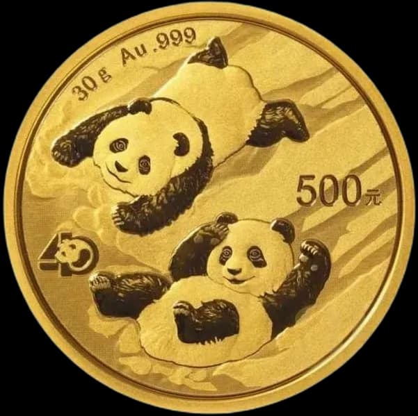 Chińska Panda 30g złota 2022 - Front