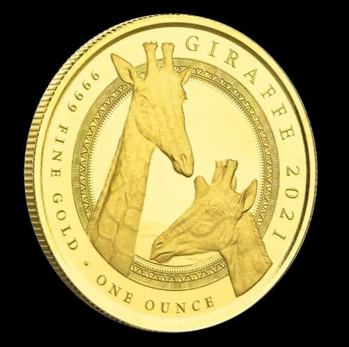 Equatorial Guinea - Giraffe 1 uncja Złota 2021 Proof - Front