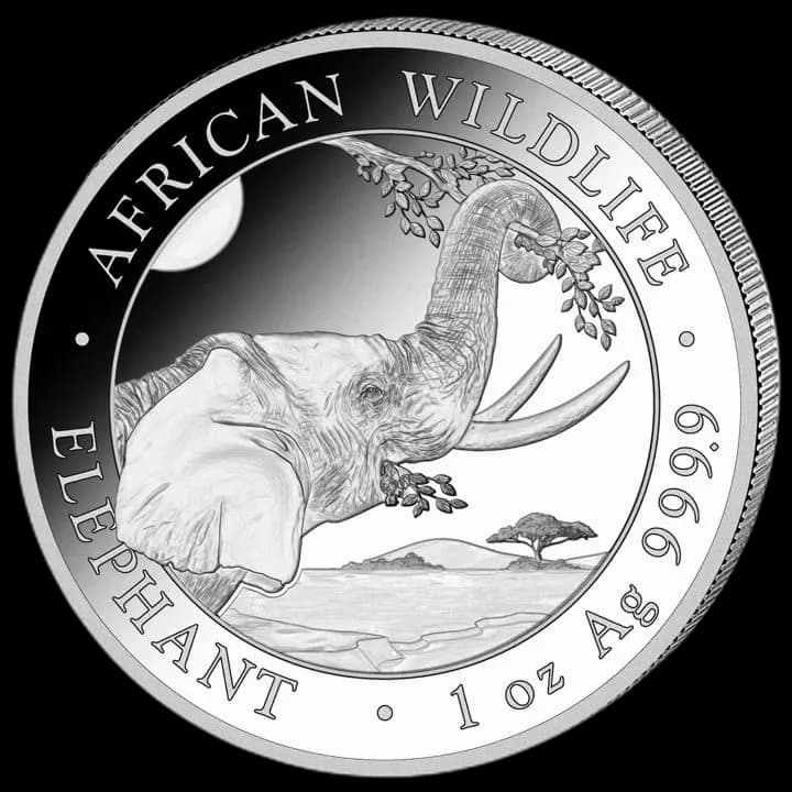 African Wildlife Słoń Somalijski 1 uncja srebra 2023 - Front