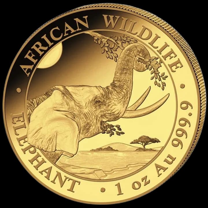 African Wildlife: Słoń Somalijski 1 uncja złota 2023 - Front