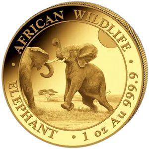 African Wildlife Słoń Somalijski 1 uncja złota 2024 rewers
